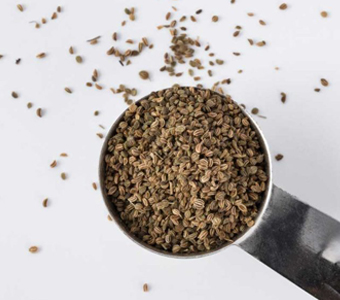 CELERY SEEDS / بذور الكرفس
