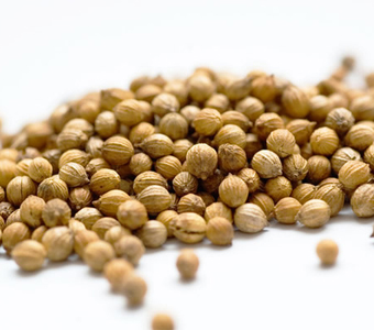 Corianders Seeds / بذور الكزبرة