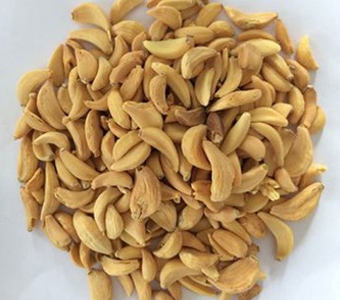 DEHYDRATED GARLIC  POWDER /مسحوق الثوم المجفف