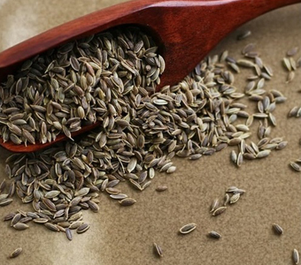 DILL SEEDS / بذور الشبت