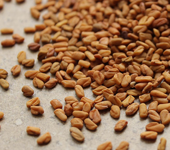 Fenugreek Seeds / بذور الحلبة