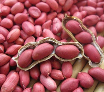 RAW PEANUTS /  GROUNDNUTS / الفول السوداني الخام