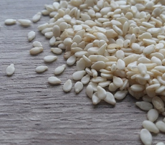 HULLED SESAME SEEDS  99.95% Sortex Quality / بذور السمسم المقشرة