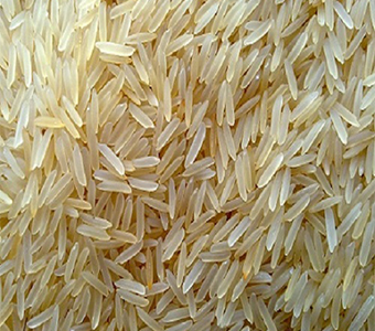 INDIAN LONG GRAIN 1121 SUPER KERNEL GOLDEN SELLA BASMATI RICE