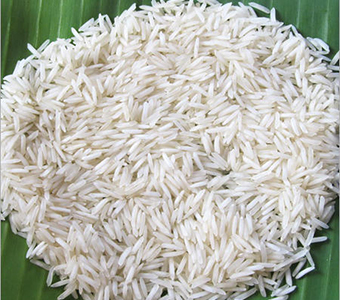 INDIAN LONG GRAIN PR 106 / PR-47  RICE 