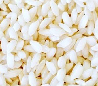 INDIAN MEDIUM GRAIN IR 8  RICE / أرز