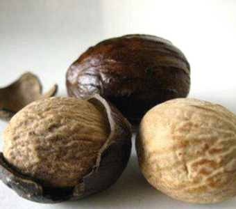 Nutmeg with Shell and without Shell / جوزة الطيب بقشرة وبدون قشرة