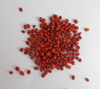 Radish Seeds / بذور الفجل