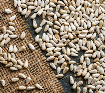 SAFFLOWER SEEDS / بذور عباد الشمس