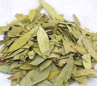 Senna Leaves / أوراق سينا