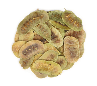Senna Pods / القرون سينا